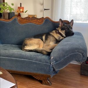 Meet your Posher, Susan